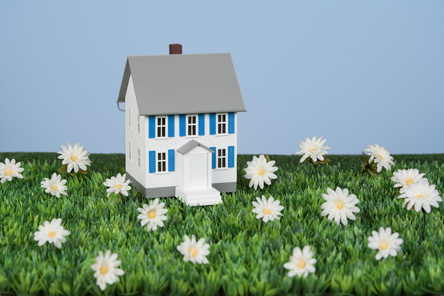 Miniature house in field of daisies
